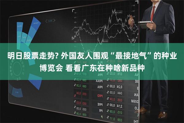 明日股票走势? 外国友人围观“最接地气”的种业博览会 看看广东在种啥新品种