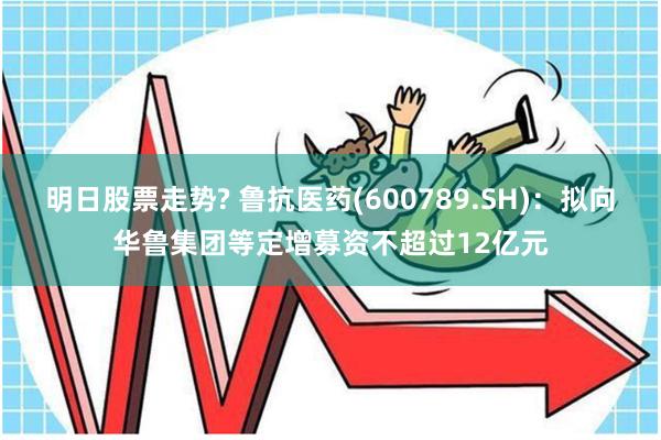 明日股票走势? 鲁抗医药(600789.SH)：拟向华鲁集团等定增募资不超过12亿元
