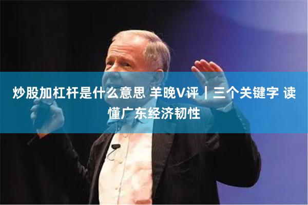 炒股加杠杆是什么意思 羊晚V评｜三个关键字 读懂广东经济韧性